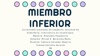 Palpación de Miembro Inferior [upl. by Eeniffar562]