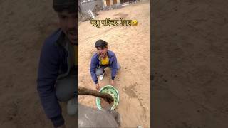 Pashu Parichar Funny Video 😂 Laxman Sir Tricks Wale shorts minilaxmansirmotivation pashuparichar [upl. by Mirisola]