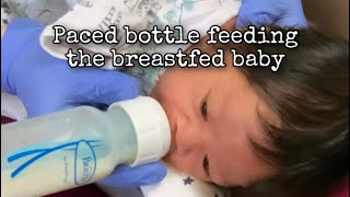 Pace Bottle Feeding the Breastfed Baby [upl. by Olaznog]