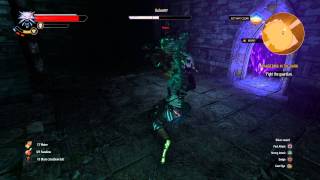 The Witcher III Wandering in the Dark Golem Fight Death March Difficulty [upl. by Valera]