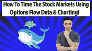 How To Time The Stock Markets Using Unusual Whales amp Charting Data [upl. by Maxentia277]