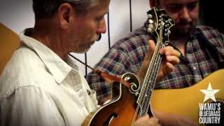 The David Thom Band  Homestead On The Farm Live at WAMUs Bluegrass Country [upl. by Whiffen]