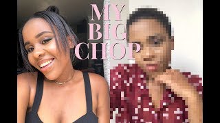 MY BIG CHOP  THE REVEAL AND WHY [upl. by Rosene17]