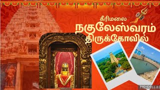 KeerimalaiNaguleswaram Thirukovil  கீரிமலை நகுலேஸ்வரம் திருக்கோவில்  Sha Videos [upl. by Anigal714]