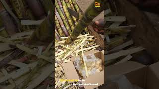 Sugarcane Juice A Refreshing Business Idea ☀️🍹 shorts business machine creativebusinessideas [upl. by Xyla]