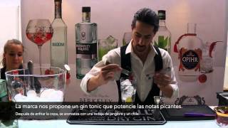 Gin tonic especiado con ginebra Opihr [upl. by Brenk]