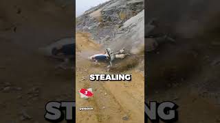 Dirtbike riders Fail [upl. by Mcmillan]