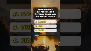 Quick Health Trivia Can You Get Them All Right quiz quiztime shorts [upl. by Philipp]