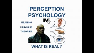 The Psychology of Perception  Simplest Explanation Ever [upl. by Ayotnahs]