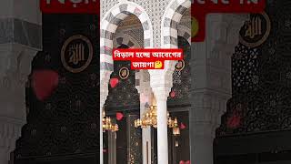 বিড়াল হচ্ছে আবেগের জায়গা🤔 islamicbangla islamicstory islamicvideo gkquiz iqtest gk [upl. by Yborian416]