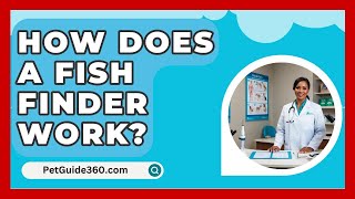 How Does A Fish Finder Work  PetGuide360com [upl. by Ayitahs]