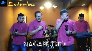 Esterlina  Cover  Nagabe Trio  Ronni Pangaribuan [upl. by Ariak]