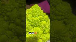 Amazingly beautiful Romanesco broccoli veggies beautiful [upl. by Annaegroeg]