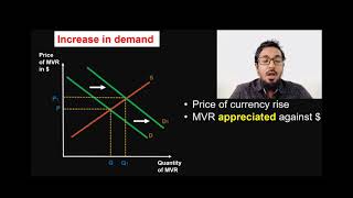 Telikilaas  Grade 10  Economics  How Exchange Rate is Determined in Floating Exchange Rate System [upl. by Vasta]