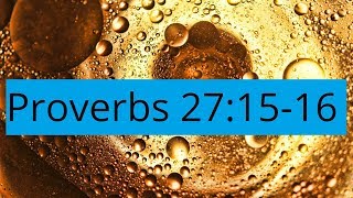 Proverbs 271516 Nagging Thoughts [upl. by Denver]