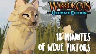 ✨ ABOUT 18 MINUTES OF WCUE TIKTOKS THAT SAVED FEATHERTAIL ✨ NONE ARE MINE [upl. by Eirrej]