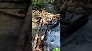 Clear BC River waterfall canadarocks canadianrockies britishcolumbia [upl. by Camden934]