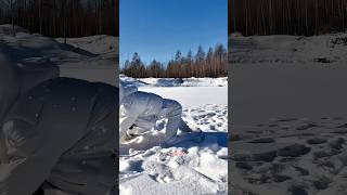 Girl Builds A Fishing Camp in The Snow shortsvideo [upl. by Aneres]