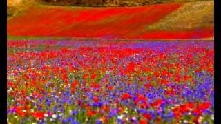 quotAUDIOVISIVO VALNERINA  CASTELLUCCIO DI NORCIAquot di MARCO BARCAROTTI [upl. by Arnaldo]