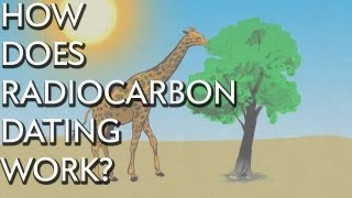 How Does Radiocarbon Dating Work  Instant Egghead 28 [upl. by Milzie866]