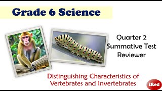 Grade 6 Science Quarter 2 Exam Reviewer Vertebrates and Invertebrates [upl. by Ilenay441]