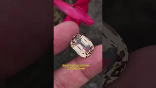 Natural Zoisite Aka Tanzanite tanzanite zoisite diamond photography youtubeshorts youtube gem [upl. by Manlove264]