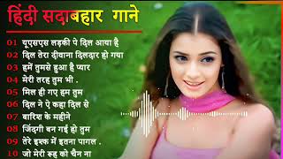 Hindi Gana🌹Sadabahar Song 💖हिंदी गाने 💔Purane Gane Mp3 💕Filmi Gaane अल्का याग्निक कुमार सानू गीत [upl. by Jr]