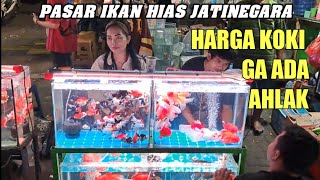 TIPS MEMILIH PELET IKAN MAS KOKI [upl. by Freiman]