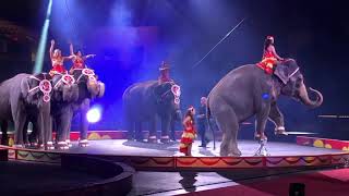 The Shrine Circus  Fort Worth Convention Center  Elephant Act [upl. by Engeddi]