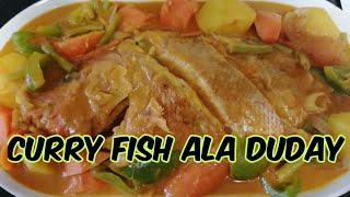 CURRY FISH ala Duday  Duday tries to cook Curry Fish [upl. by Llabmik]