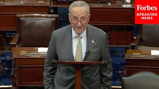 JUST IN Schumer Details Continuing Resolution To Keep Government Open [upl. by Odetta953]