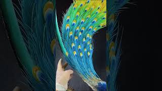 How to Create a Beautiful Peacock with Sugar Maltose diy bamboo handmade [upl. by Terrijo]