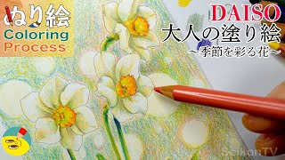 色鉛筆で【DAISO 大人の塗り絵】から「水仙」を塗りました🌼【塗り絵メイキング】 [upl. by Ellehcear]