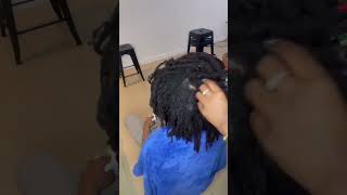 Thinning Freeform Locs to Traditional dreads dreadlocks dreadjourney locs locstyles [upl. by Natye]