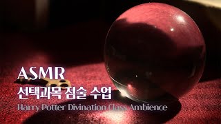 ASMR 해리포터  선택과목 점술 수업 🔮 수정구슬 찻잎 대화 소리 책  Harry Potter Divination Class Ambience [upl. by Egidio5]