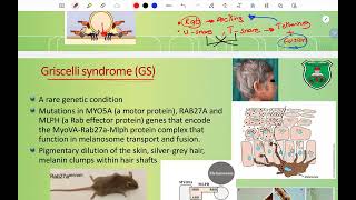 CH2 Golgi apparatus and vesicular transport Part 2 [upl. by Onez]