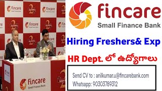 Fincare Small Finance Bank Job Vacancy  Fincare Small Finance Bank Jobs Telugu  HR Department Jobs [upl. by Thursby]