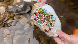 Pearl hunters picked up pearl oysters by the river and opened them to get colorful pearls [upl. by Ahaelam]