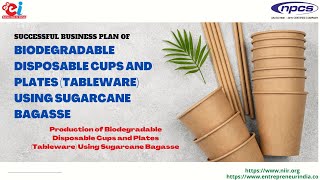 Business Plan Of Biodegradable Disposable Cups And Plates Tableware Using Sugarcane Bagasse [upl. by Lytsyrk735]