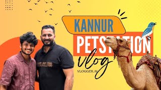 Explore a day in kannur 🦩 Kannur Fort  Pet station kannur  vlog [upl. by Eniahpets]