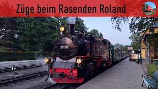 Züge beim Rasenden Roland Trains at Rasender Roland [upl. by Aihsema182]