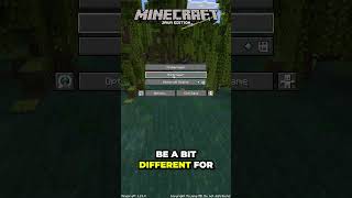 How To Join A Minecraft Server [upl. by Thgirw]