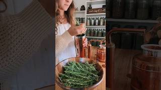 will it essential oil testing out my new still with rosemary [upl. by Airtap]