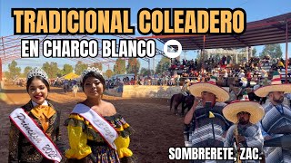 Tradicional Coleadero 🥁 en Charco Blanco Sombrerete Zacatecas Tamborazo Aferrado y Banda el REJ [upl. by Blondelle]