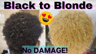 Detailed HOW TO BLEACH amp Tone Natural HAIR Black to Blonde NO DAMAGE Revive Curls after bleaching [upl. by Robb433]