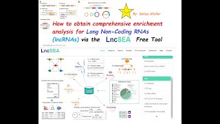 Analysis and Enrichment of Long NonCoding RNA lncRNA for Humans via LncSEAs Comprehensive Tool [upl. by Sucramrej]