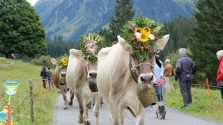 Alpabzug Klosters 14092013 [upl. by Nmutua570]