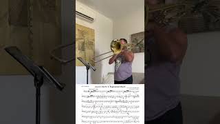 Joyces 71st  Bass Trombone Cover [upl. by Ayifas889]