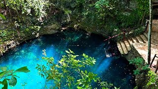 Diving Cenotes in Cancun Kin Ha amp Zapote [upl. by Adnaral]