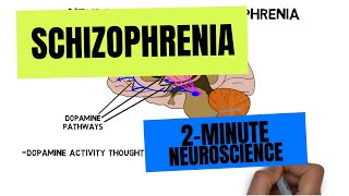 2Minute Neuroscience Schizophrenia [upl. by Demahom]